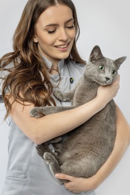 Żakiet medyczny ze stójką - szary